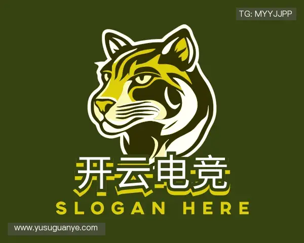 发现开云电竞