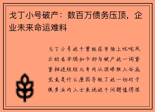 戈丁小号破产：数百万债务压顶，企业未来命运难料