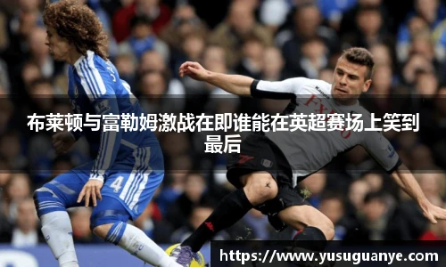 布莱顿与富勒姆激战在即谁能在英超赛场上笑到最后